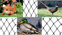 Aviary Netting Heavy Knotted 2 inch Poultry Net (50 ft x 100 ft)