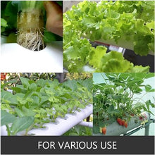 FLTRGO Hydroponic Tower Growing Sytem Indoor Growing System with Hydroponics Mini Greenhouse Agriculture for Planting Lettuce Strawberry Easy to Install and Operate