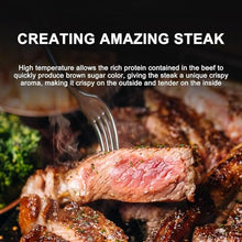 Professional 800℃ Constant Temperature Steak Oven Grill, Commercial Multi-Layer Steak Oven for Pizza, Salmon, Fruits and Vegetables(NPJ003G)