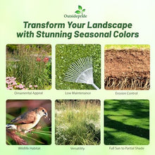 Outsidepride Perennial Andropogon Big Bluestem Grass Seed - 25 lbs. Warm Season, Drought Resistant, Native Prairie Grass Seed, Ideal for Erosion Control, Ornamental Landscaping & Wildlife Gardens