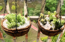 Metal Hanging Planter Basket Coir Liner Chain Round Wire Plant Holder Flower Pots Hanger Garden Decoration for Railings Gardens
