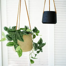 SDREYKUF Wall Hanging Cement Pot Plant Basket Balcony Orchid