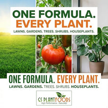 GS Plant Foods Liquid Kelp Fertilizer – Suitable for Organic Growing, OMRI Listed Seaweed Concentrate for Lawns, Gardens & Soil - 275 Gallons