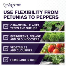 Atticus Pyrus TR Greenhouse Fogger (12x2oz Can) - (Compare to Pyrethrum TR)