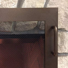 Design Specialties Fireplace Screen Pond Design (Textured Black, Large)