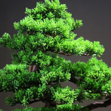 Bonsai Simulation Bonsai Tree Living Room Wigwam Landscaping Entryway Cabinet Decoration Ornaments Plant