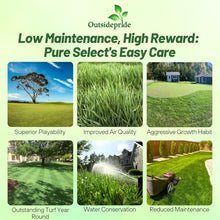 Outsidepride Pure Select Creeping Bent Grass Seed - 25 lbs. Premium Turf Grass for Putting Greens, Tees & Fairways, Dense & Fine-Textured Lawn Seed for Smooth, Professional-Quality Golf Greens & Lawns