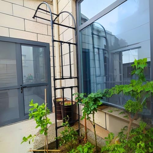 GFSGHZZ Lar Metal Garden Arch Trellis 2.4M - Heavy Du Steel Pera for Climbing Plantswedding Decorwall Mounted Support Epatio & Yard Pathway,Black-240W X 240H Cm