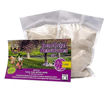 Beneficial Nematodes Steinernema carpocapsae SC - Biological Flea Control (500 Million)