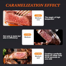 Grill Infrared Outdoor Broiler, Portable BBQ Table Top Steak Searer, Stainless Steel 400-1450 ℉ Small Camping Oven Steak Cooker Machine,220V