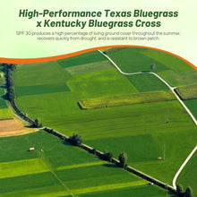 Outsidepride SPF-30 Hybrid Bluegrass Seeds - 50 lbs. Heat & Drought Tolerant, Texas Bluegrass & Kentucky Bluegrass Seed Mix for Challenging Climates, OptiGrowth Coated for Better Establishment