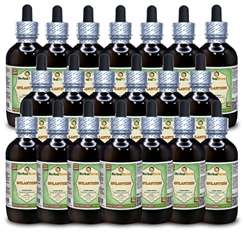 Spilanthes (Acmella oleracea) Glycerite, Dried Leaves, Flowers and Stems Alcohol-Free Liquid Extract (Brand Name: HerbalTerra) 20x4 fl.oz (20x120 ml)