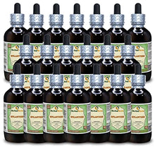 Spilanthes (Acmella oleracea) Glycerite, Dried Leaves, Flowers and Stems Alcohol-Free Liquid Extract (Brand Name: HerbalTerra) 20x4 fl.oz (20x120 ml)