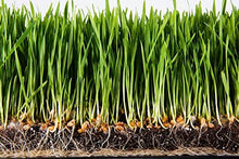 Soil Moist SAP Super Absorbent Polymer White 45 Lb.