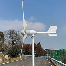 NINILADY 3000W 48V Wind Turbine Generator with Hybrid MPPT Controller 3KW Permanent Magnet Generator for Homeuse 3 Blades Free Energy Windmill (with MPPT Controller)