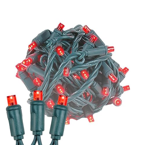 Novelty Lights 24-Pack, 25 Feet 50 LED Red Christmas Mini Light String on Green Wire, 5mm Wide Angle Bulbs, Connectable, Indoor/Outdoor Decor, UL Listed