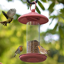 Feilx Outdoors Hanging Bird Feeders, Metal Wild Bird Feeder for Outside, Garden Bird Feeder with Transparent Housing