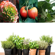 Plant Light High Power Lighting Growing Lamps Highlight Waterproof IP66 100W Grow Lights Suitable for Hydroponic Greenhouse Garden