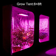 JINHH DC Series 4000W LED Grow Light 5x4ft Covera Upgraded SMD Diodes Aluminum Reflector Full Spectrum Grow Lamps for Greenhouse Hydroponic Higher PPF Indoor Plants Growing Lights