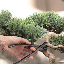 BambooMN Bonsai Basics Set - 8" Knob Cutter and 7.2" Trimming Shear - 30 Sets