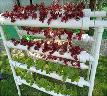 WRTYHGVGT Hydroponics Growing System 72 Sites 8 Pipes Hydroponic Grow Kit Garden Planting Equipment Nft Soilless Balcony Indoor Greenhouse Tool Lettuce Strawberry Hydroponic Tower
