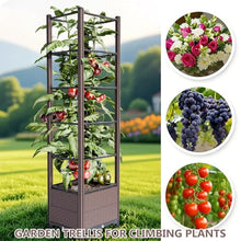Raised Garden Bed with Trellis, Planter Box with Drainage, Vertical Garden Planter for Outdoor Growing Climbing Plants, Vegetables, Flowers, Fruits