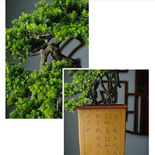 YXIANG56Q Fake Plants Grade Simulation Welcome to Tree Tree Bonsai Hotel Office Tea Several Live Hall Extreme Decoration Beautiful Items Bonsai Tree(E)