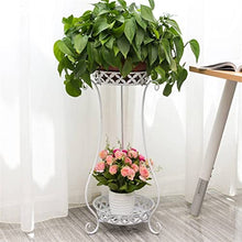 ZOCWJK Plant Stand Plant Stand/Plant Display 2 Layers Plant Pot Stand Indoor Shelf Decor Shelves Plant Holder Flower Stand,