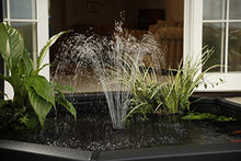 Aquagarden Complete Raised Window Pond Kit - Octagon Mocha