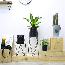 OJKJGYTF Indoor Plant Stand Flower Stand Indoor Iron Flower Pot Decoration Bracket Living Room Storage Creative Shelf