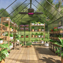 ANTSKU 8x12 FT Heavy Duty Polycarbonate Greenhouse Green