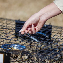 Rugged Ranch Squirrelinator Humane Multi-Catch Live Animal Trap, 4-Pack