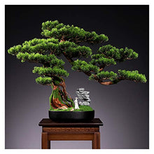 Creative Simulation Welcoming Pine Bonsai Living Room Desktop Green Plants Potted Corridor TV Cabinet Fake Flower Plants Decoration Gifts House Plant (Color : B)
