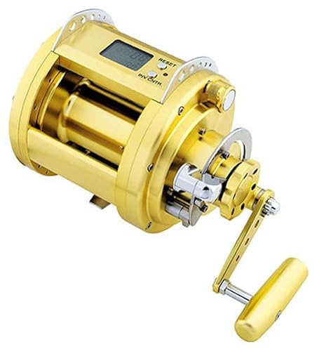 Daiwa Marinepower MP3000-12V Dendoh Reel Multi