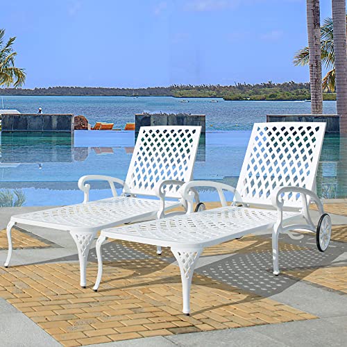 HOMEFUN Chaise Lounge Chair Outdoor
