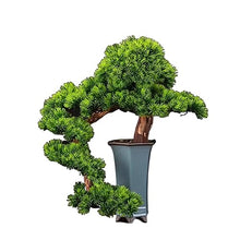Fake Bonsai Tree Artificial Bonsai Simulation Pine Tree Bonsai Plant Decorations Entrance and Living Room Decoration Decorations Artificial Bonsai Tree (Color : A)