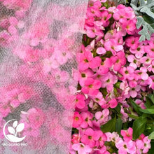 AgGuardPro® Frost Protection Fabric – Plant & Crop Cover for Cold Weather, UV-Resistant, Breathable Garden Row Cover (20' X 1000')