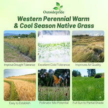 Outsidepride Western Native Grass Seed Mix - 25 lbs. Perennial Blend of Warm & Cool Season, Drought Tolerant Grass Seed for Natural Landscaping w/Wildflower, Soil Health Improvement & Erosion Control