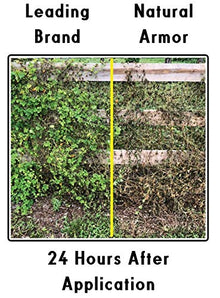 Natural Armor Weed & Grass Killer (55 Gallon Drum)