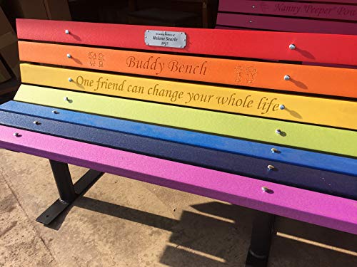 The Roudebush Company Buddy Bench Rainbow
