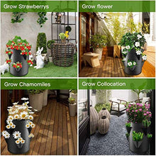 BBYYDS Multi-Port Grow Bag 5/7/10 Gallon Strawberry Tomato Reusable Non Woven Hanging for Cultivated Plants