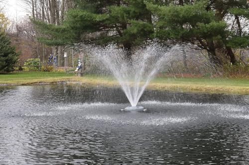 EasyPro AF100 AquaFountain 1 hp, 115 Volts with 100' 12 Gauge Power Cord