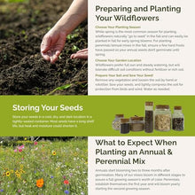 Eden Brothers Northeast Wildflower Mixed Seeds for Planting, 25 lb