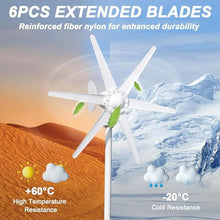 LADECNERHT Professional Wind Turbines, 6 Blade Professional Wind Turbines Small Windmill Generator 800W Industrial, Solar and Wind Power Parts and Accessories,24V