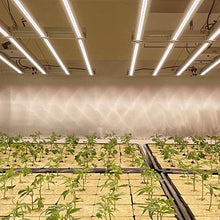 AGL V6-Pro Full Spectrum LED Grow Light for Hydroponics