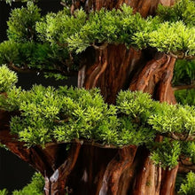 YXIANG56Q Fake Plants Artificial Bonsai Tree Light Luxury Floor Ornaments Living Room Entrance Decoration Fake Plants Potted Plants Bonsai Tree