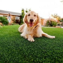 Indoor Outdoor Pet Faux Synthetic Grass Rug Carpet, Deluxe Realistic Artificial Grass Turf, Drainage Holes/Rubber Backing, for Garden Backyard Patio Balcony (4x15m/13.1x49.2ft)