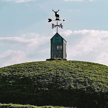 RWGOVLU Metal Weathervane with Elk Ornament, Garden Weather Vane Wind Vane Wind Direction Indicator Professional Measuring Tool Garden Yard Roof Mount Ornament