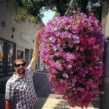 Mountain Valley Seed Co Bloom Master Hanging Baskets 6 Gallon 14 Pack Bulk