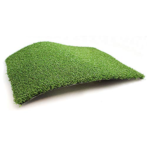 WarmShe Golf Putting Green/Mat Backyard Artificial Grass Turf 12FTX15FT Custom Width-4ft